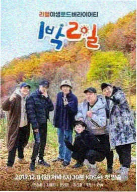 我独自生活海报